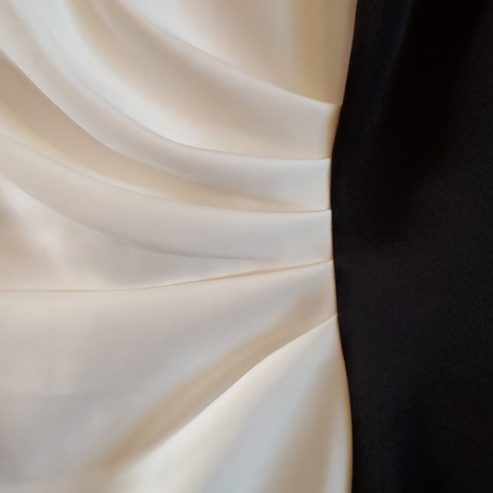 Dress - Picture 3 of 4